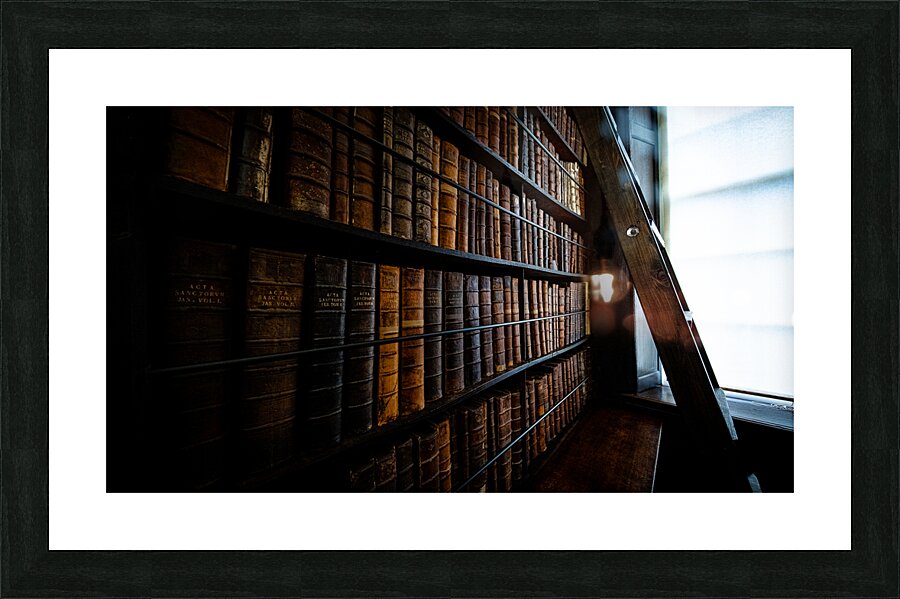 Marshs Library II Picture Frame print