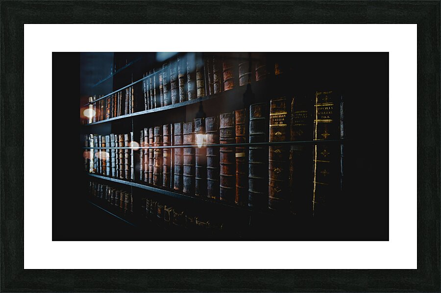 Marshs Library I Picture Frame print