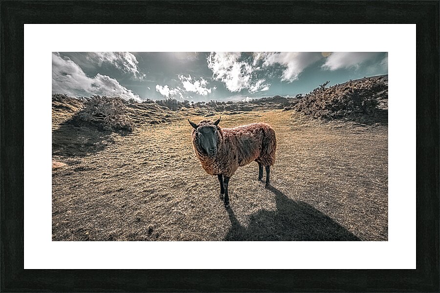 Faerie Circle Friend Picture Frame print