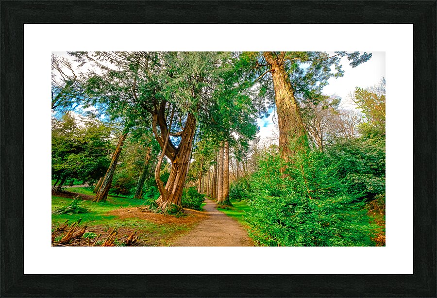 Powerscourt Gardens Picture Frame print