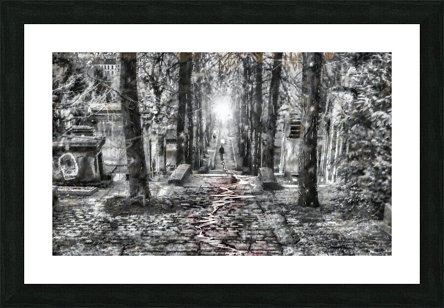 The Stranger Picture Frame print