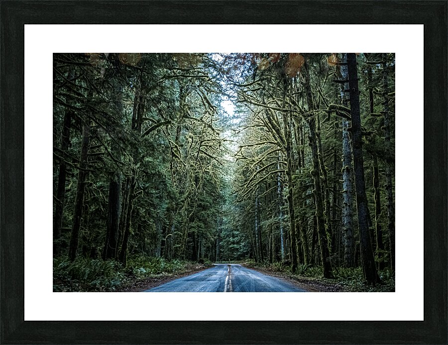 A Forest Picture Frame print