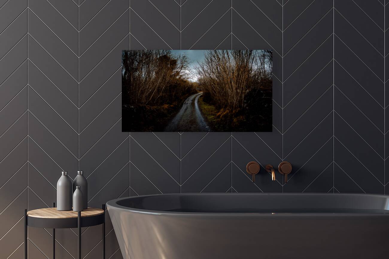 Burren National Park V Reproduction