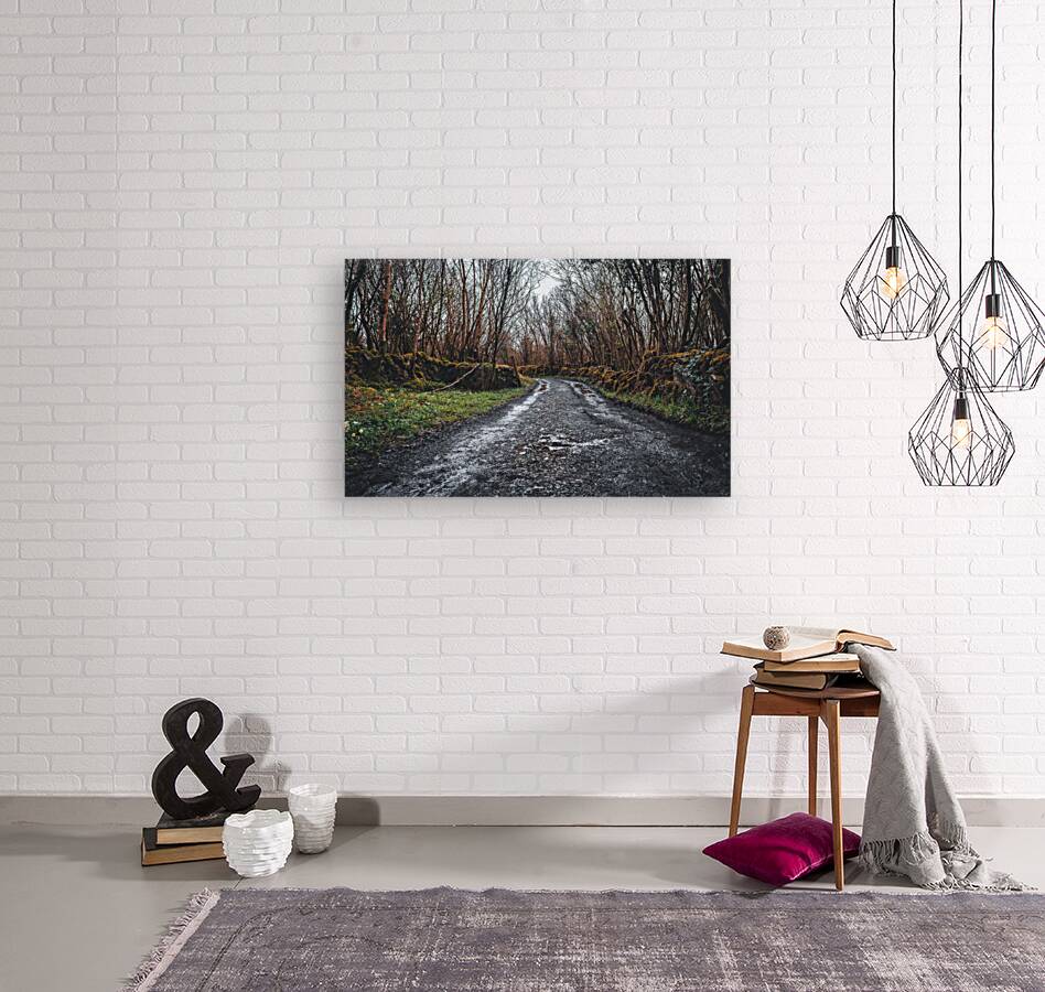 Burren National Park I Reproduction