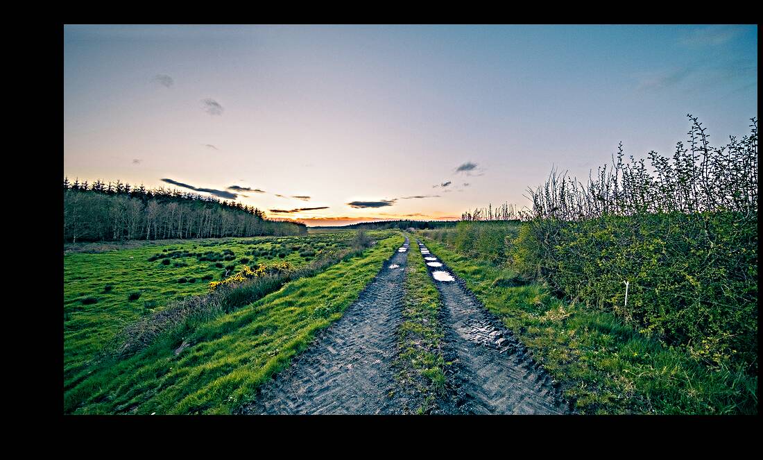 Irish Road Reproduction
