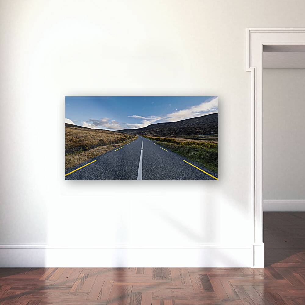 The Road I Reproduction