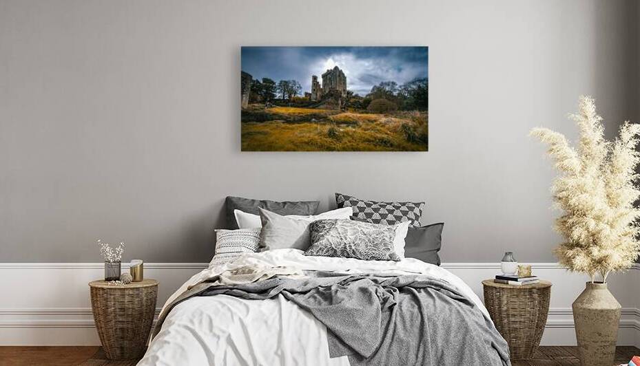 Blarney Castle I by Massey Original