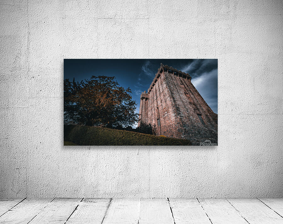 Blarney Castle Wall Preview