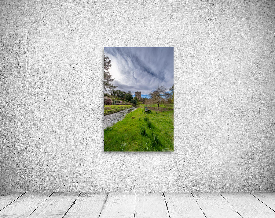 Blarney Castle II Wall Preview