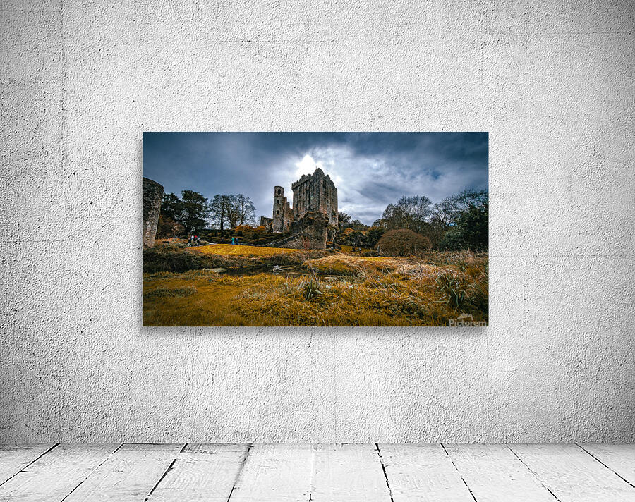 Blarney Castle I Wall Preview
