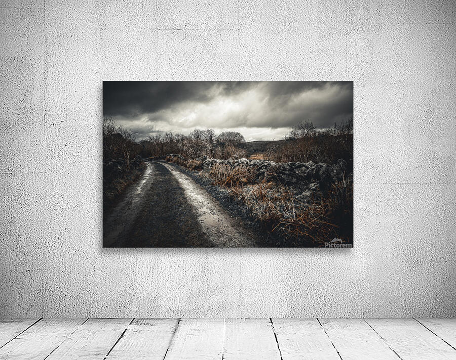 Burren National Park IV Wall Preview