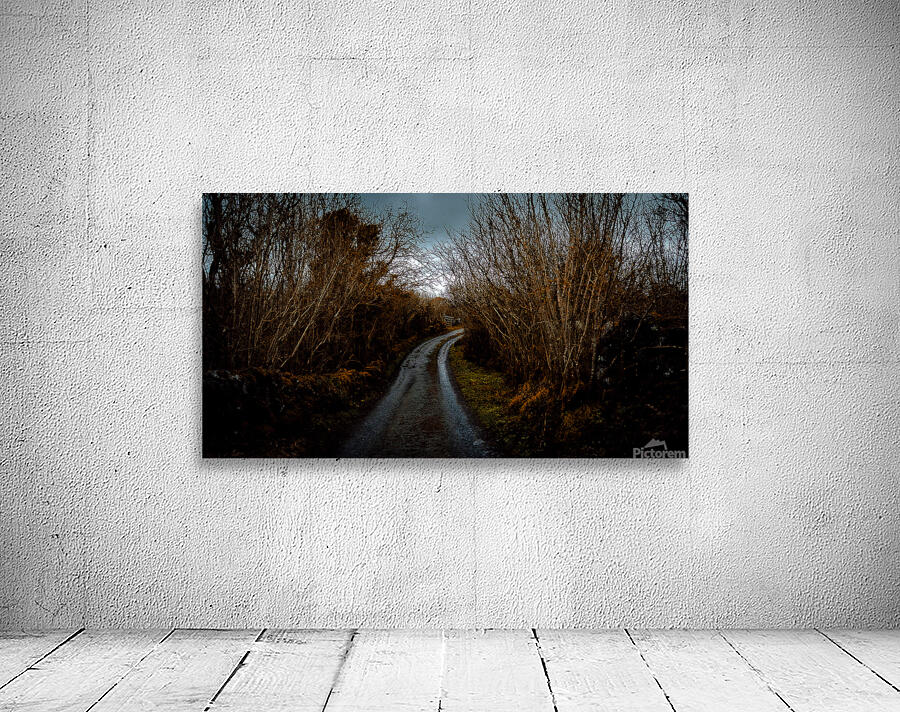 Burren National Park V Wall Preview