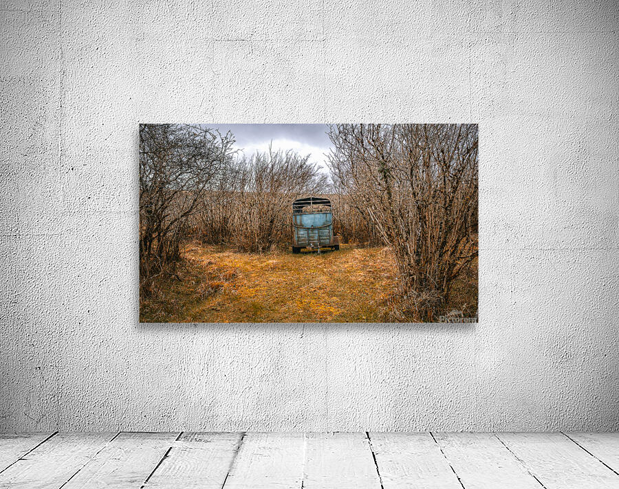 Burren National Park Wall Preview