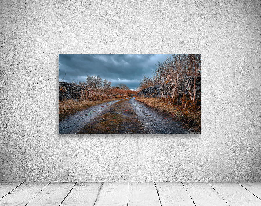 Burren National Park Wall Preview