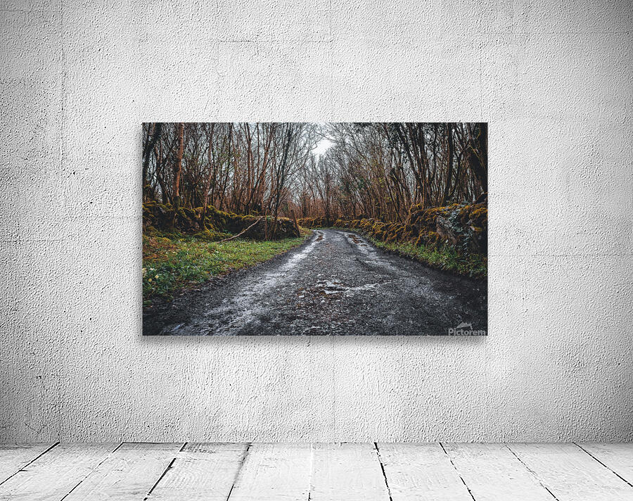 Burren National Park I Wall Preview