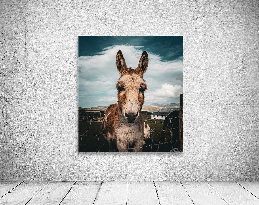 Faerie Circle II Wall Preview