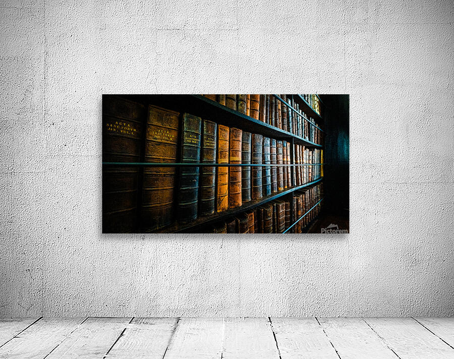 Marshs Library Wall Preview