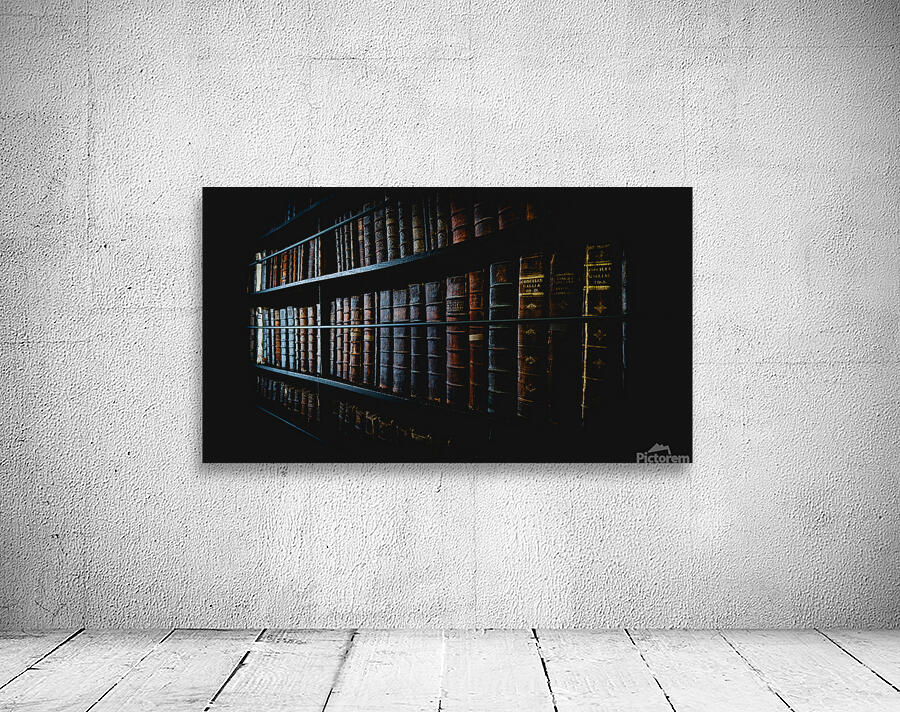 Marshs Library I Wall Preview