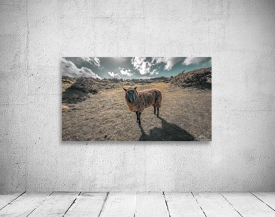 Faerie Circle Friend Wall Preview