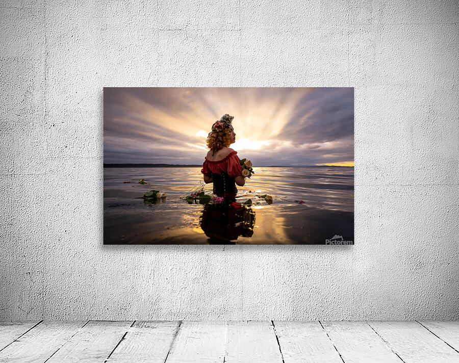 CCCI 29 Wall Preview