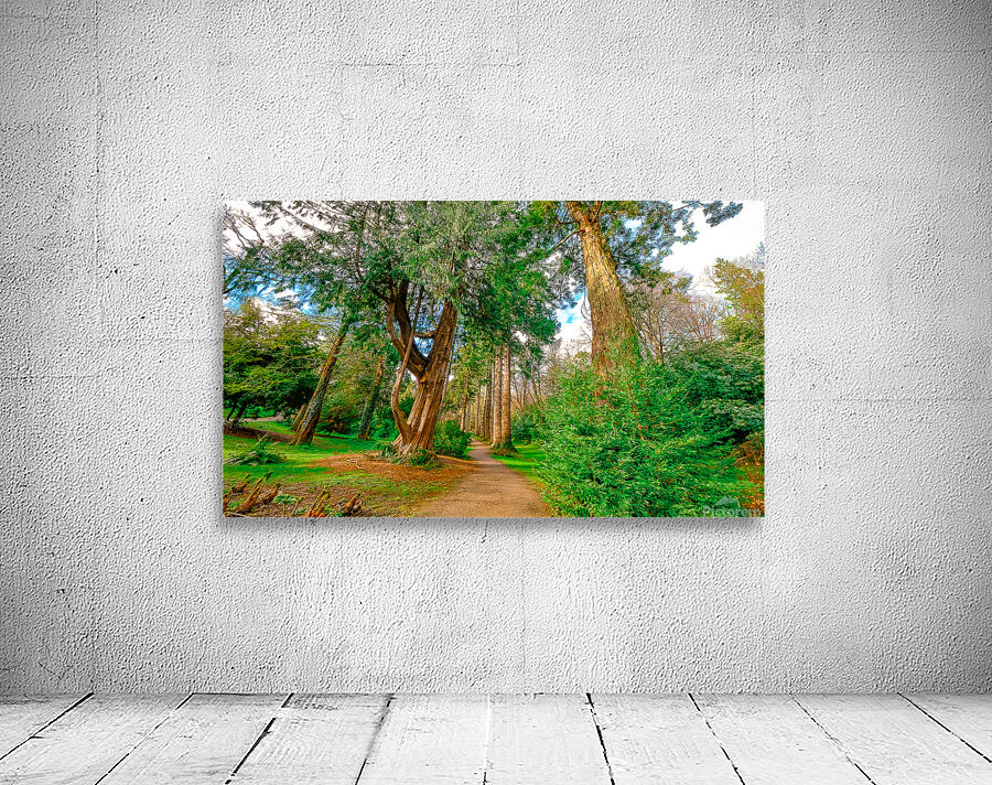 Powerscourt Gardens Wall Preview