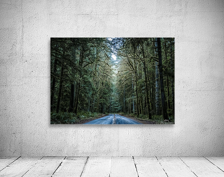 A Forest Wall Preview