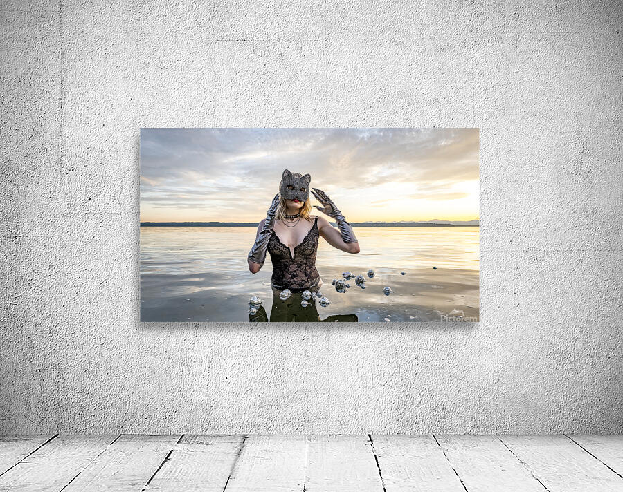 Spheres Whispers and Silence. Wall Preview