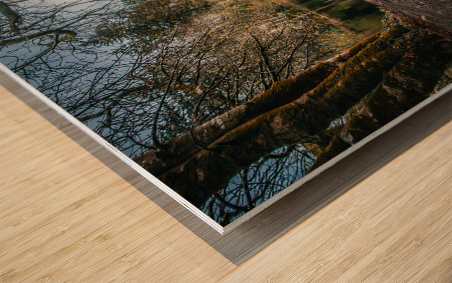 Old Man & The River Wood print