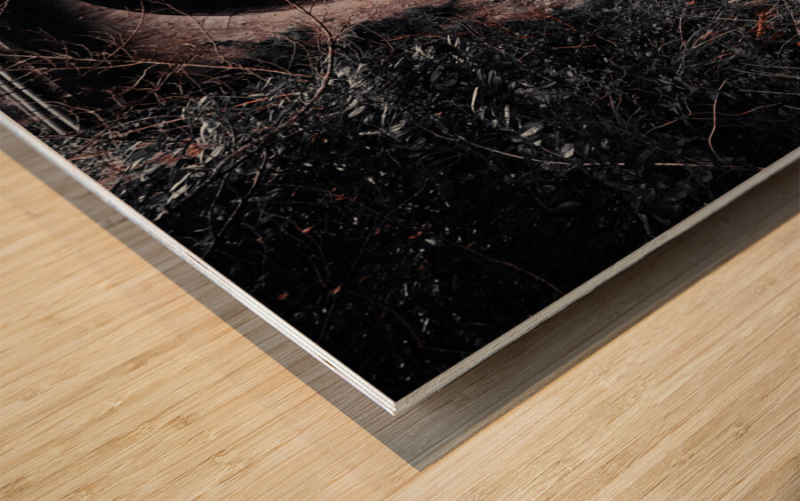 Lisdoovarna Wood print