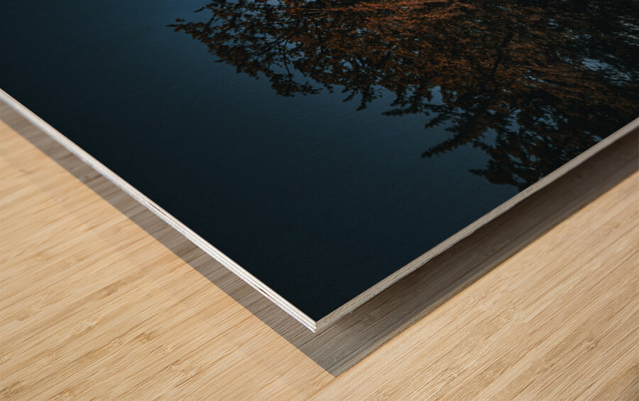 Blarney Castle Wood print