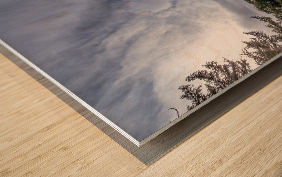 Blarney Castle II Wood print