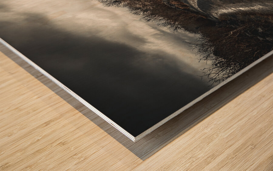 Burren National Park IV Wood print