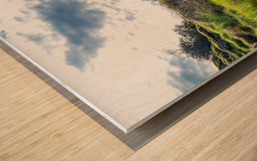 Abandoned Church Wood print