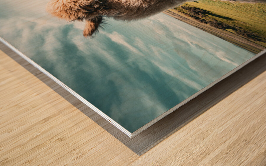 Faerie Circle Impression sur bois