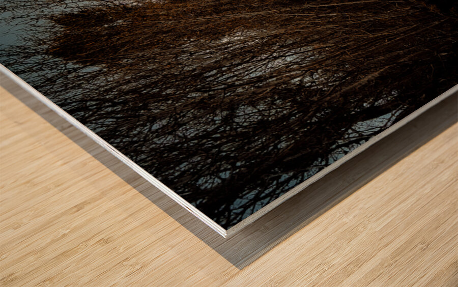 Burren National Park V Wood print