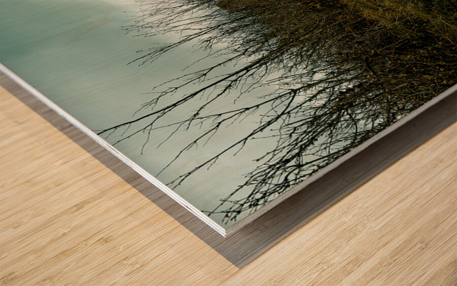 Burren National Park VI Wood print