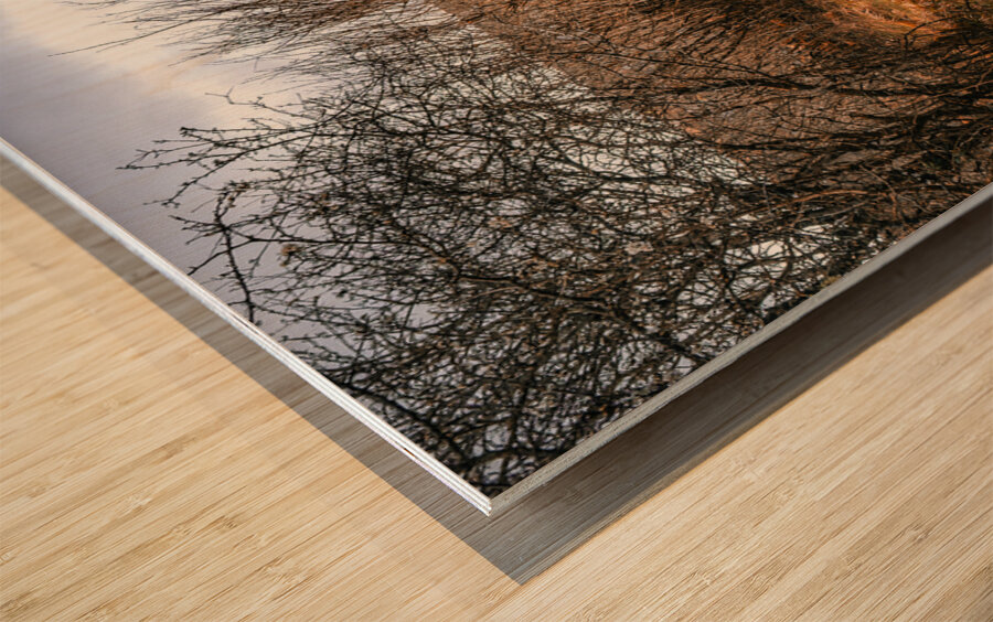 Burren National Park Wood print