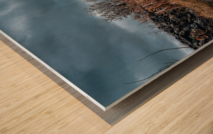 Burren National Park Wood print