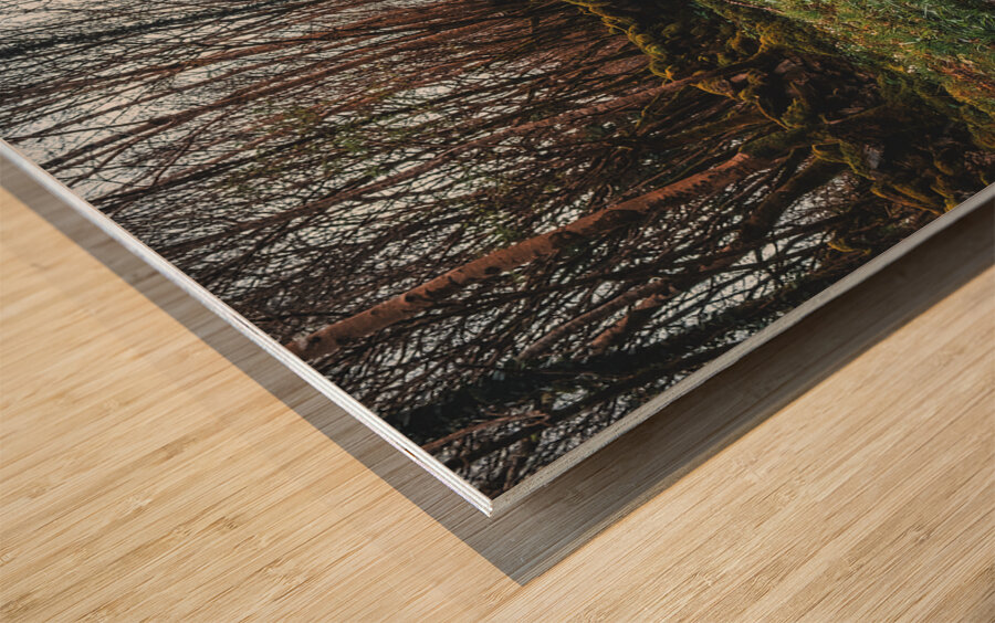 Burren National Park I Wood print