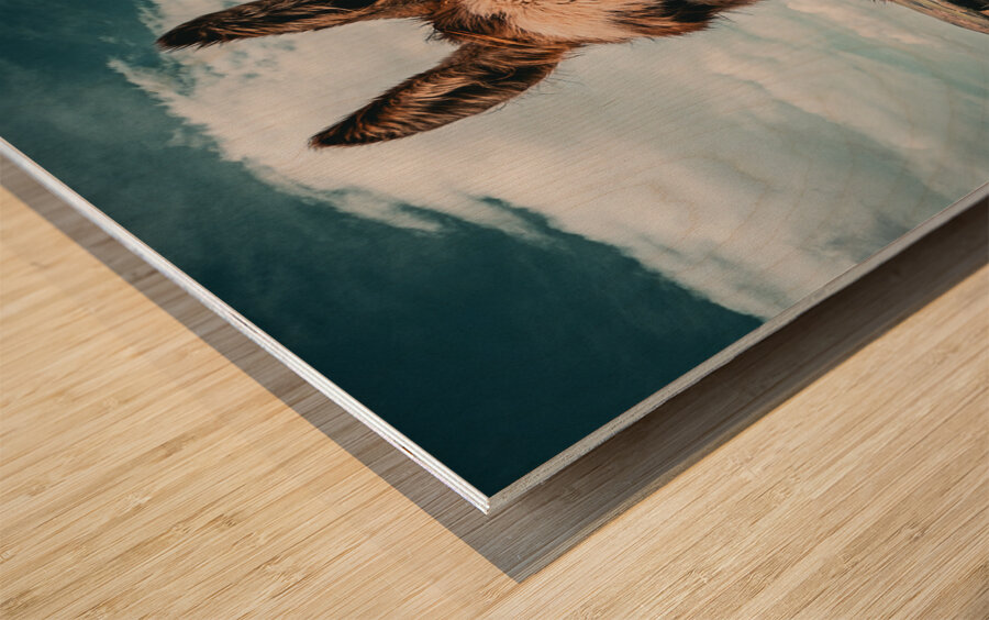 Faerie Circle II Wood print