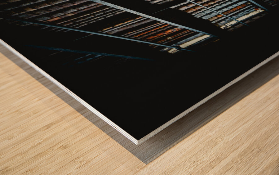 Marshs Library I Wood print