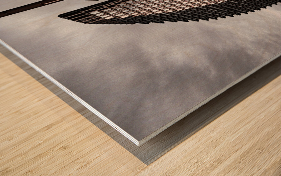 Brooklyn Bridge Views Wood print