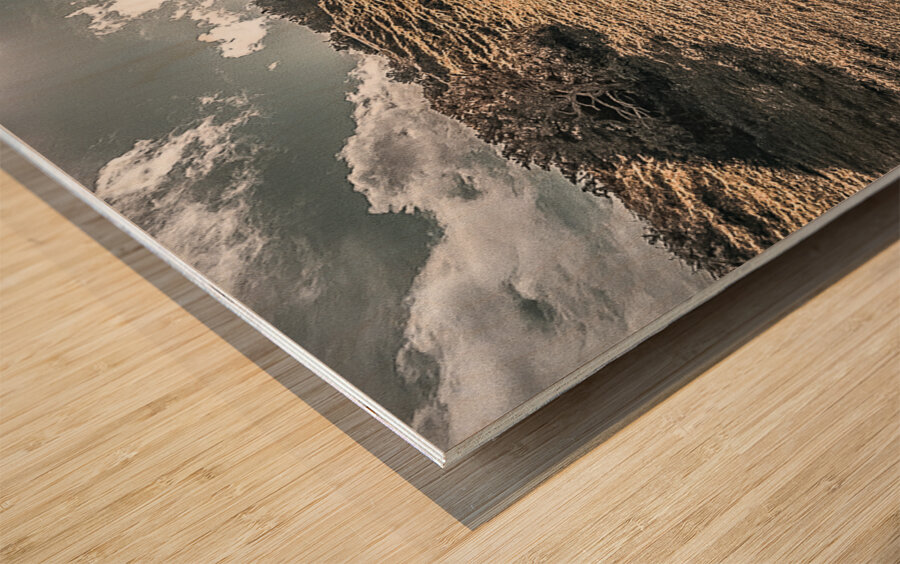 Faerie Circle Friend Wood print