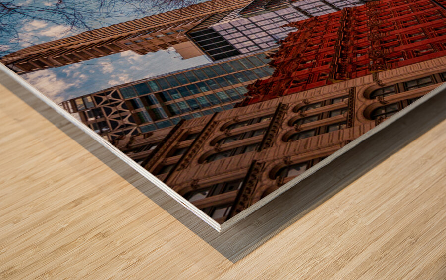 Standing on the Edge of Summer Wood print