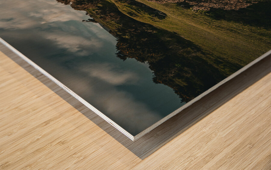 Sheep in the Faerie Circle Wood print