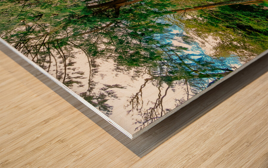 Powerscourt Gardens Wood print