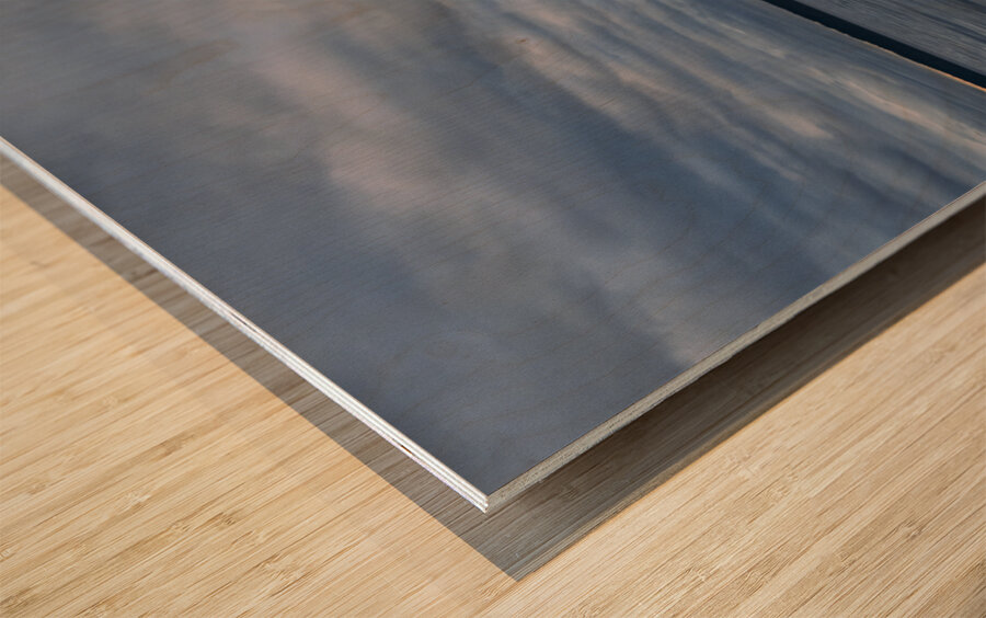 Red Dress in Twilight Wood print