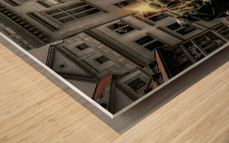 Prague Observers Wood print