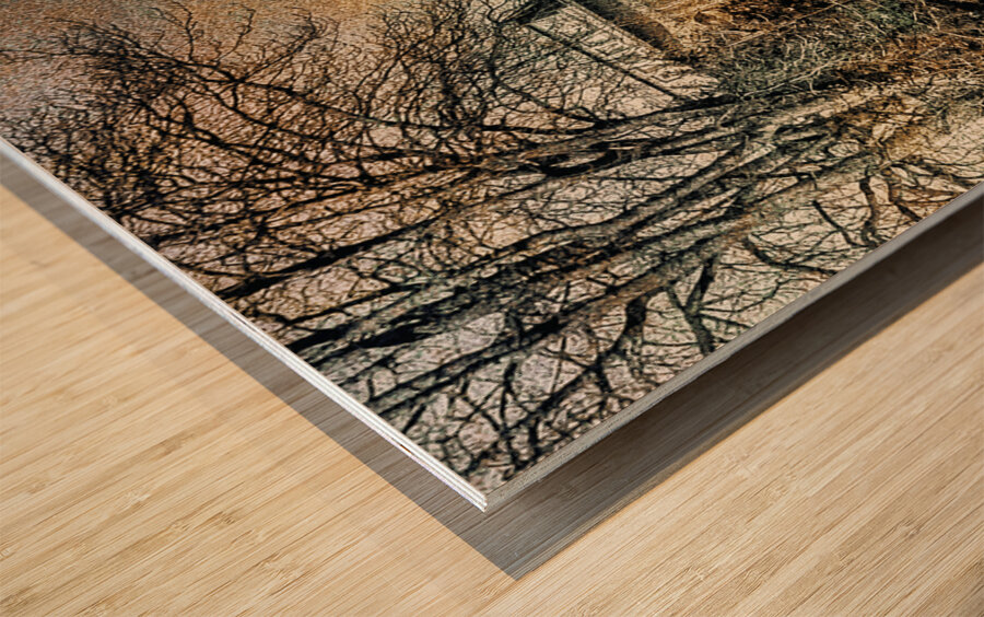 Lucid Paris Wood print