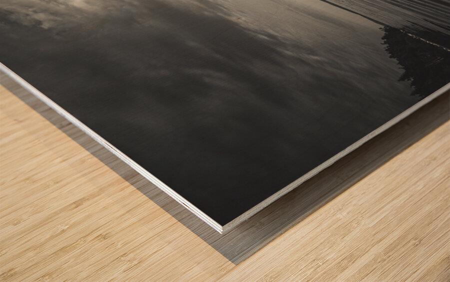 Nocturne in Pink: Whispers of Cupcakes and Marshmallows in the Monochrome Abyss Wood print